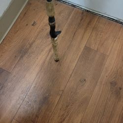 Team all star tas 786c fishing pole