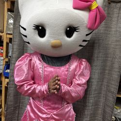 π USED HELLO KITTY MASCOT COSTUME (PINK DRESS) β ADULT SIZE π  π± Character: Hello Kitty (Purple Dress Edition) π¦ Condition: Used β what you see