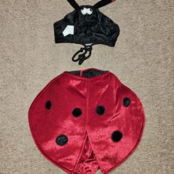 Ladybug Pet Costume Size S
