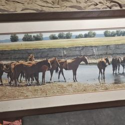 JIM THOMASON Horses Along the Little Big Horn ~ Signed / Framed print 43x21"