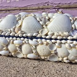 Vintage Seashell Trinket or Jewelry Box