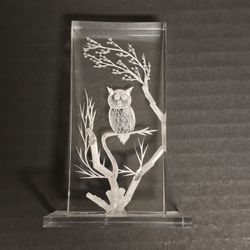 Owl Figure Acrylic - Used
