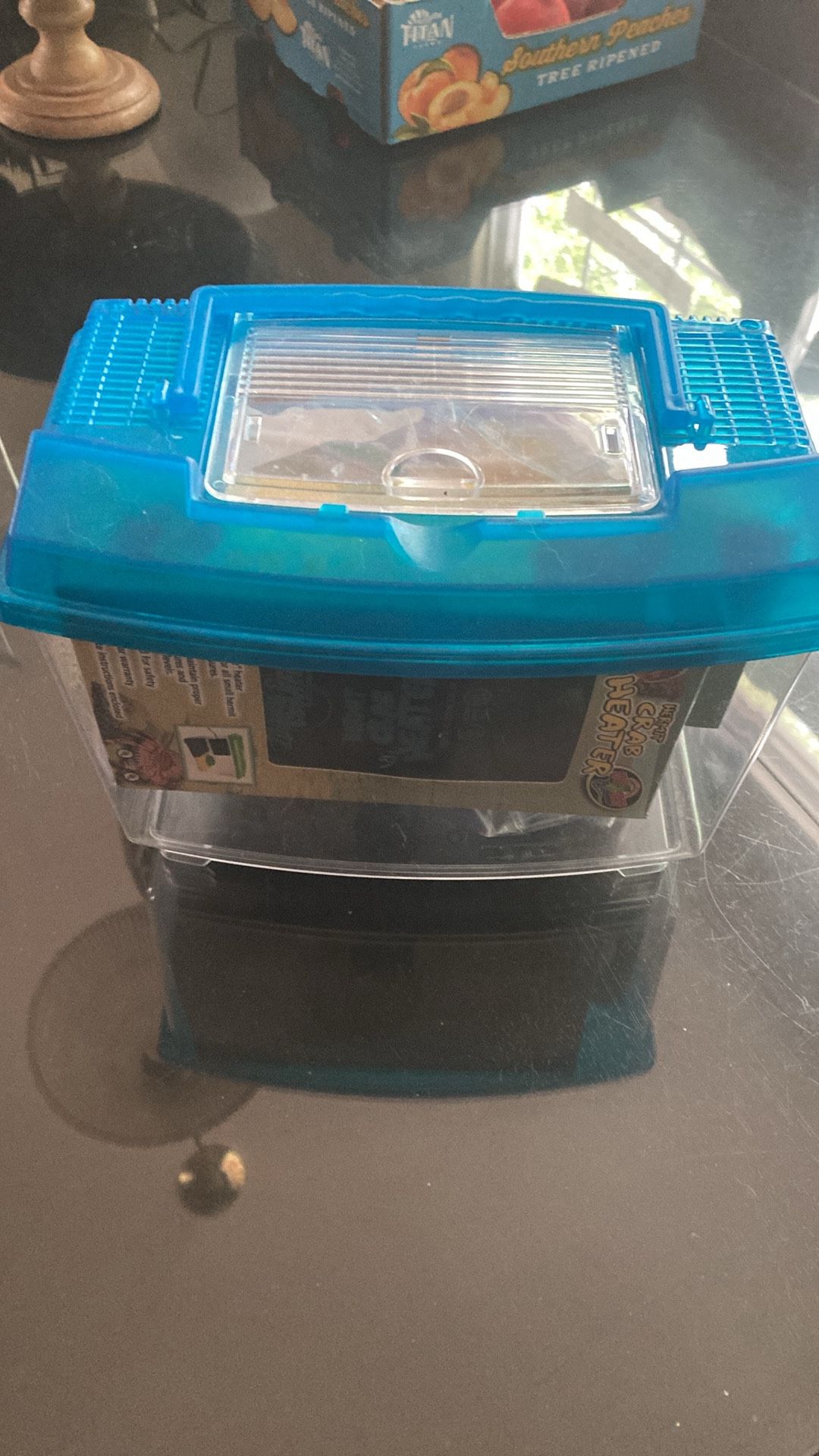 Hermit Crab Starter Kit
