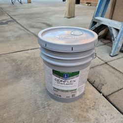 Elastomeric Paint