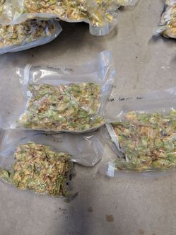 Free hops for hop brewing