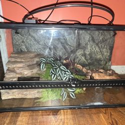 Reptile Terrarium (description) 