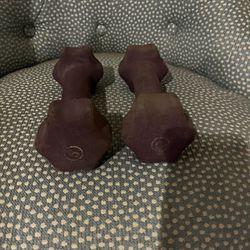 5 Lb Dumbbells