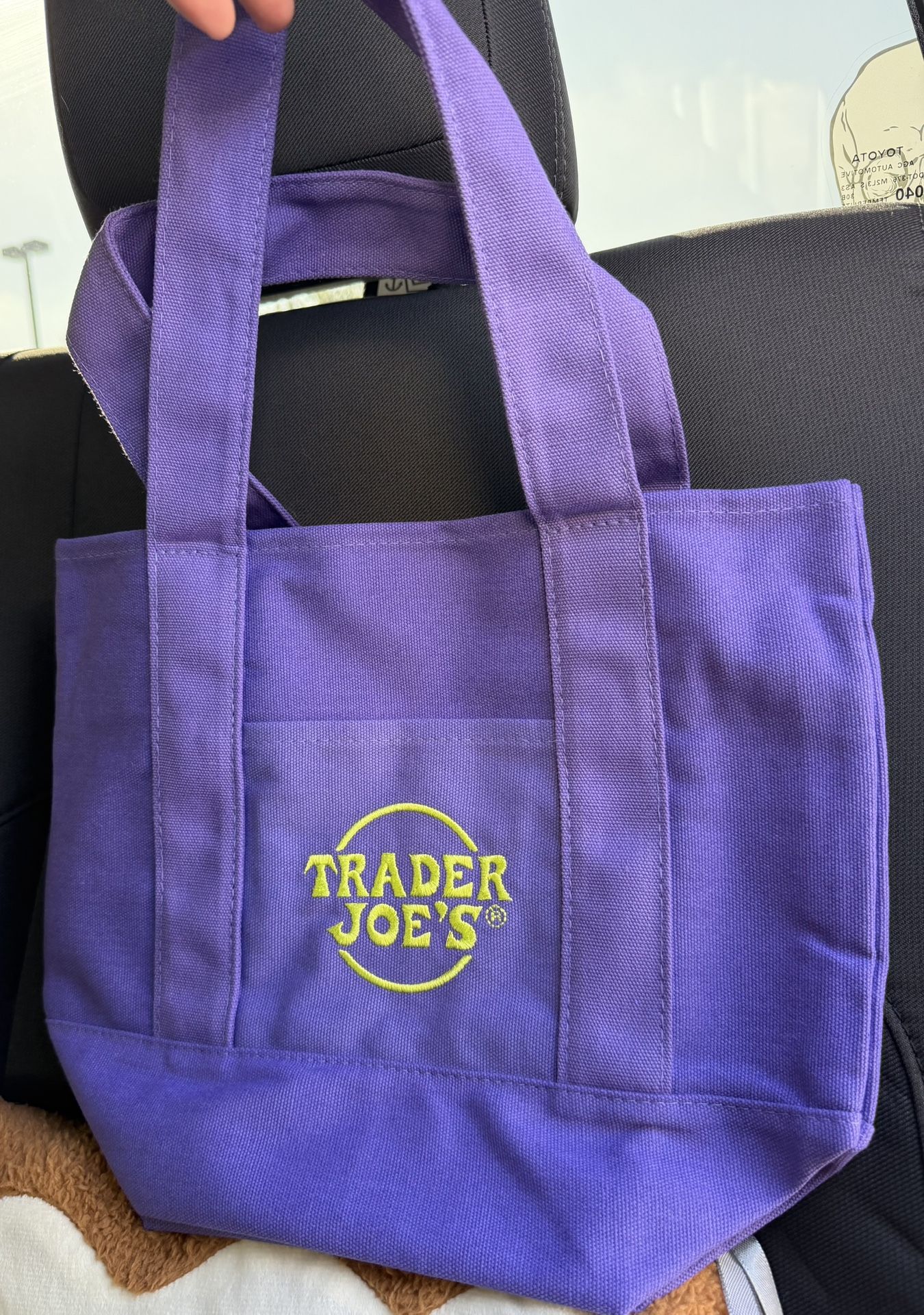 Trader Joes Mini Halloween Tote Bag