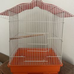 Bird Cage / Jaula De Pájaro 
