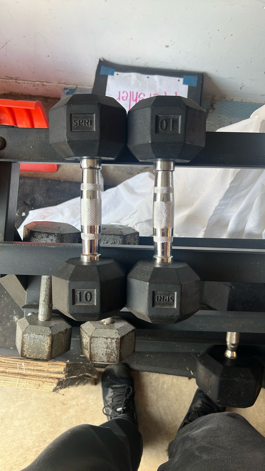 10 Lb Dumbbells Pair