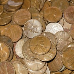 PENNY 