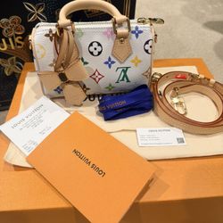 Louis Vuitton x TM Multicolor Nano Speedy