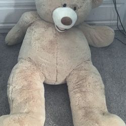 Costco Bear