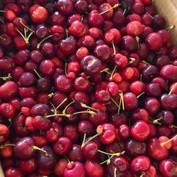 Sweet Cherry 🍒🍒🍒🍒