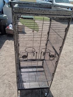 Bird Cage