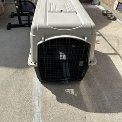 Pet Carrier 