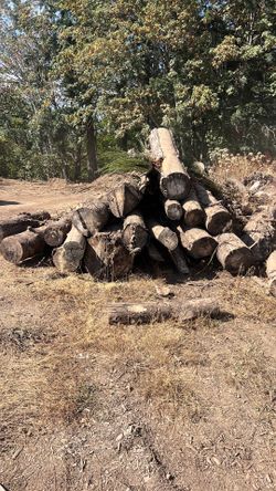 Firewood