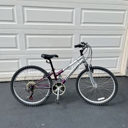 Raleigh M20 Mountain Bike 26 for Sale in Grayslake IL OfferUp
