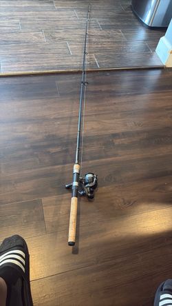 Daiawa spinng combo fish