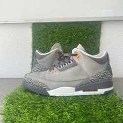 Jordan 3s 