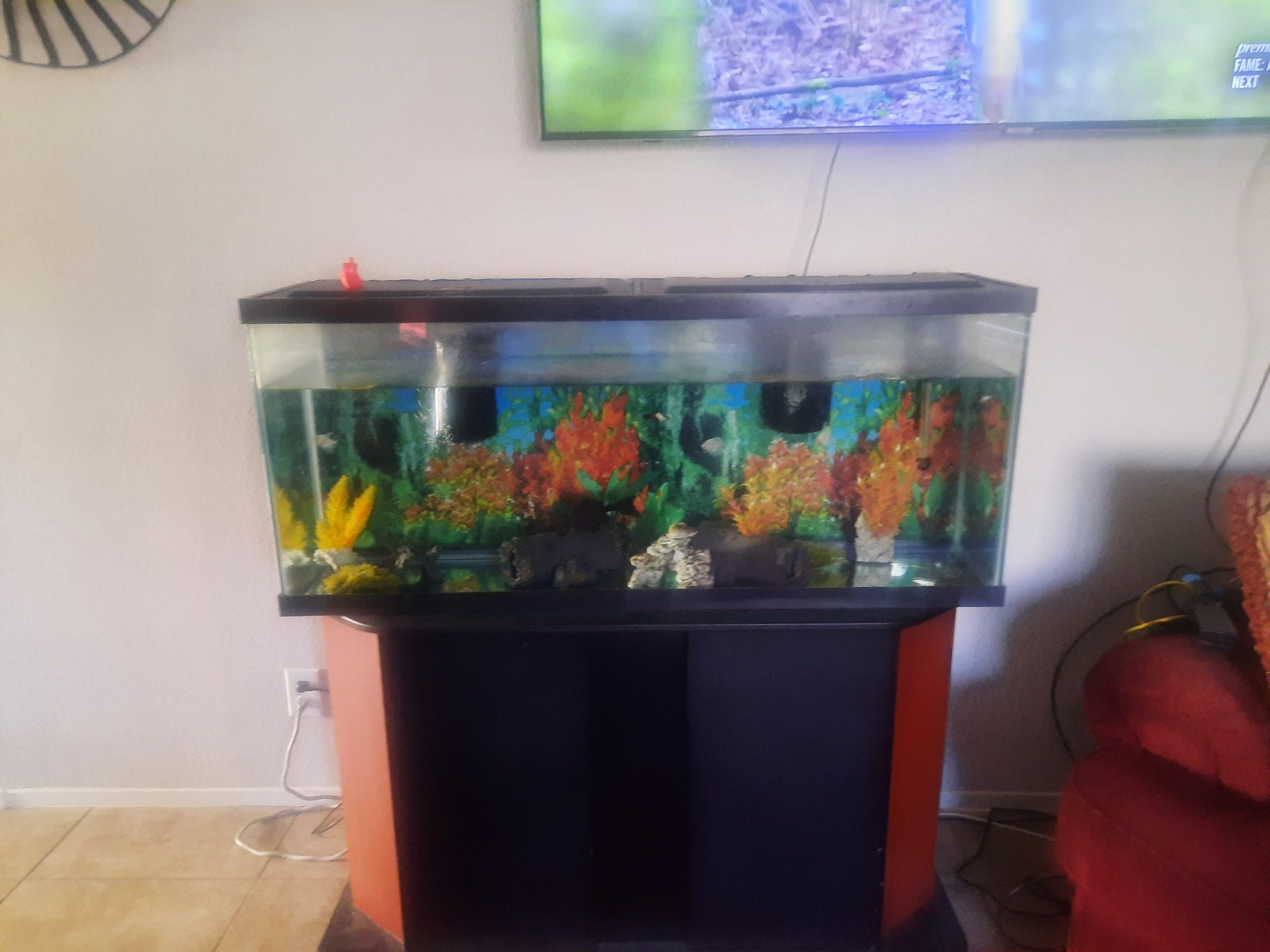 Fish Tank , Stand And Fish