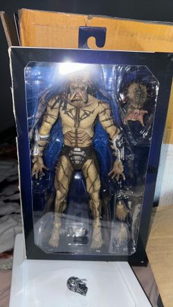 Assassin predator