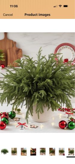 ISSPIN 48 Pcs 19.5 Inches Christmas Norfolk Pine Branches, Norfolk Pine Artificial Christmas Branches DIY Crafts Faux Pine Branches for Xmas Indoor Ou