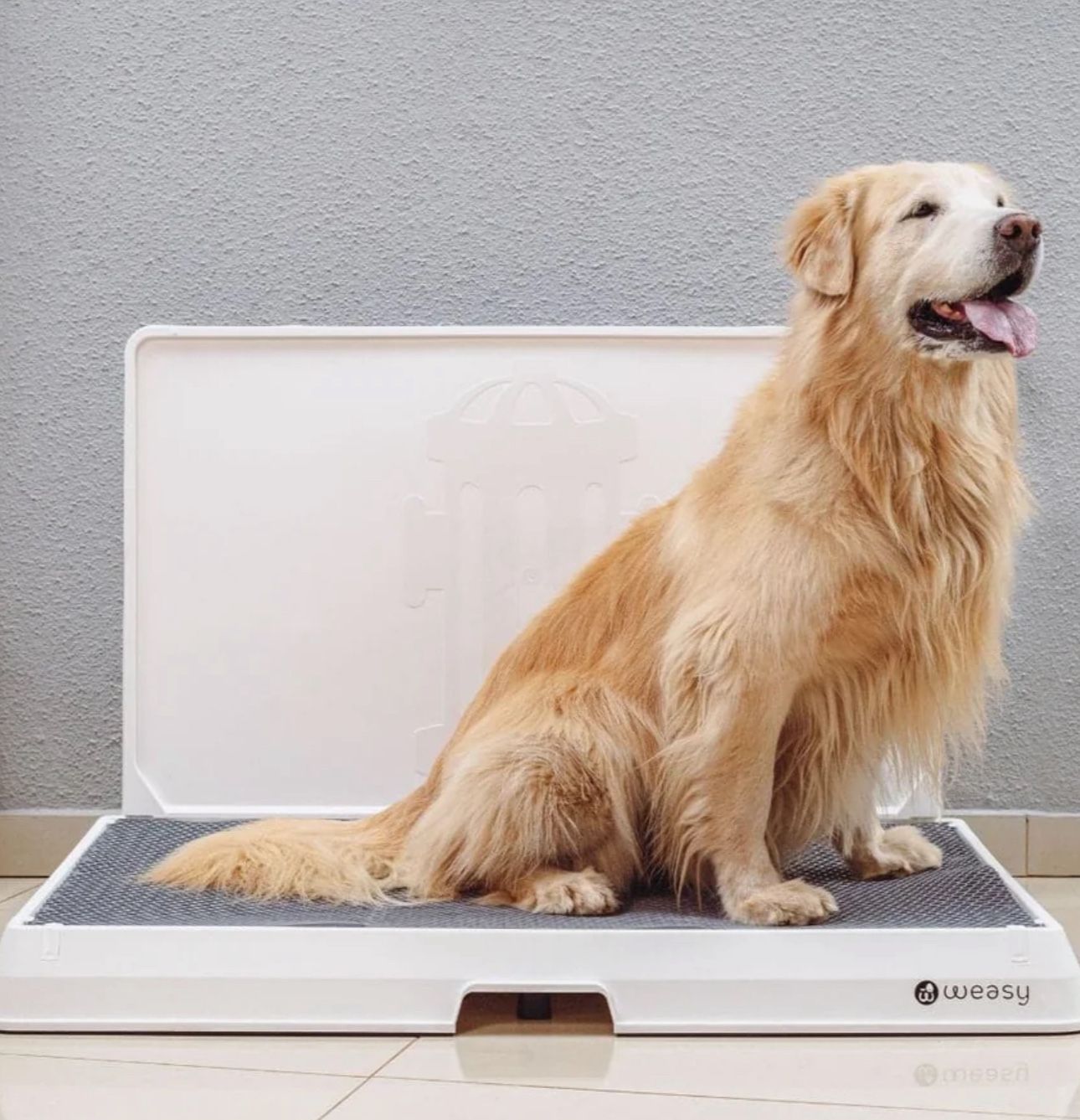 Dog Smart Potty For Apartments - never Used