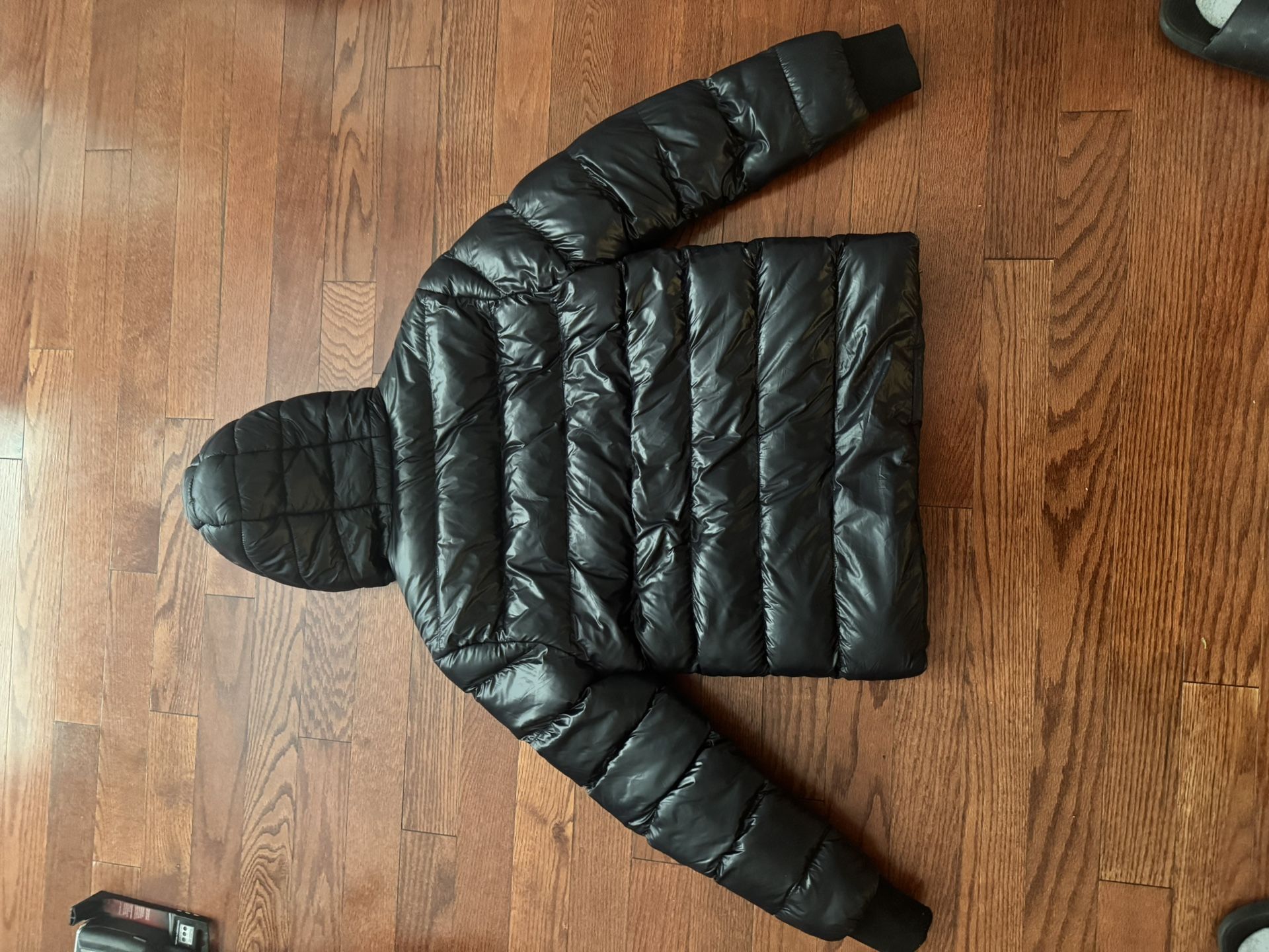 Black Shinny Puffer