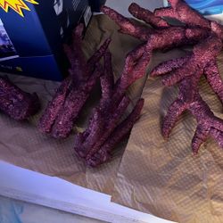 Saltwater Dry Rock And Branches 