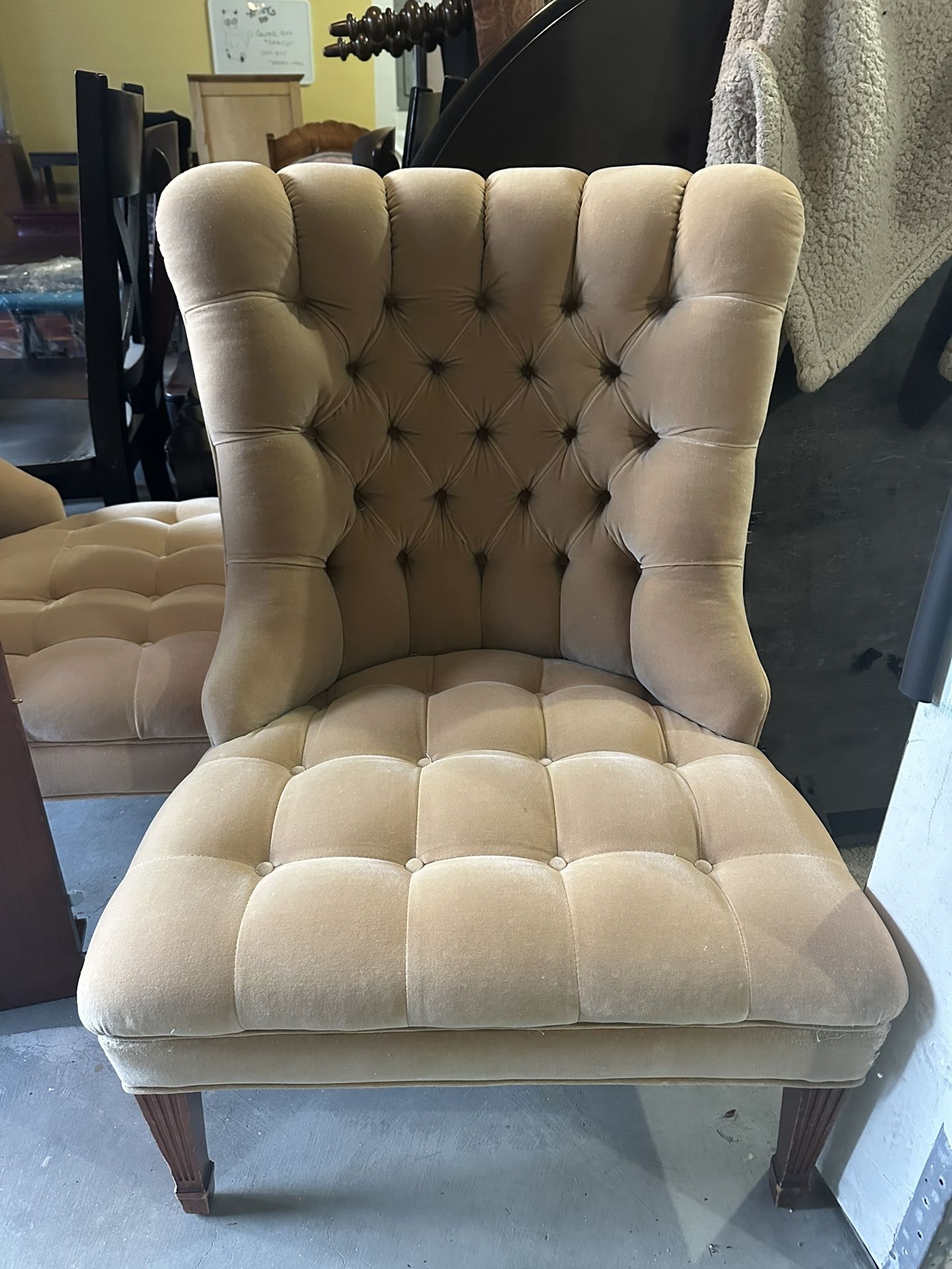 Cushioned Chairs