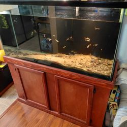 75 Gallon Aquarium Tank