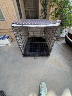 Lg Wire Crate, cushion & cover