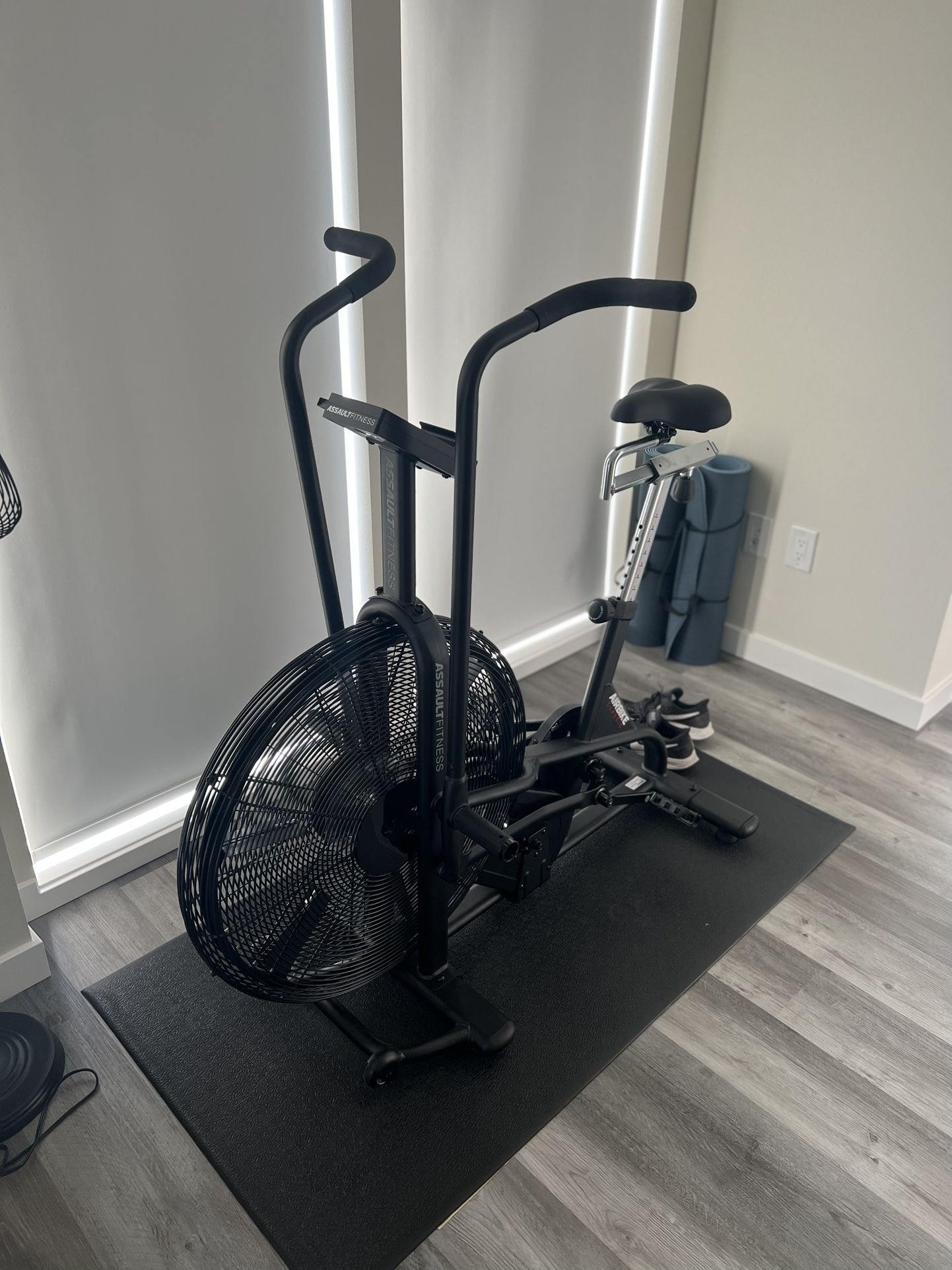 Rogue Fitness assault bike with mat