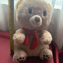 teddy