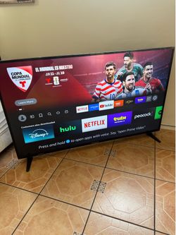 65-inch LED TV: Insignia