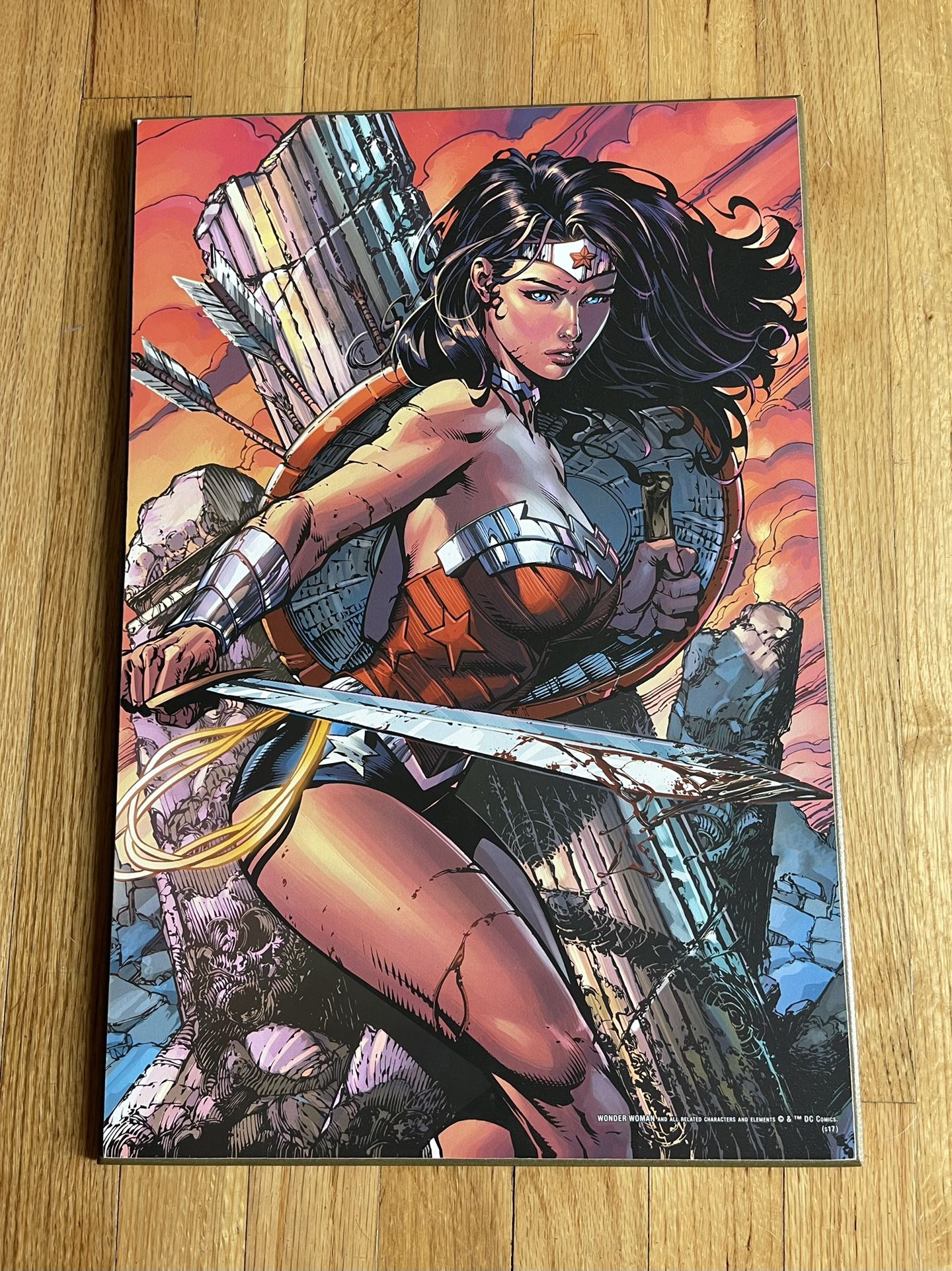 DC Comics Wonder Women Wood Picture