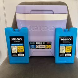 Igloo lilac mini cooler with two ice packs