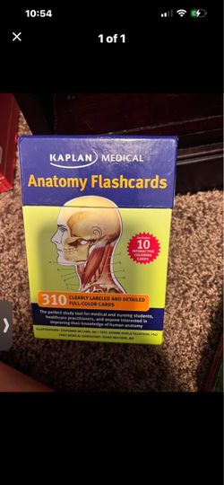 Anatomy flash cards