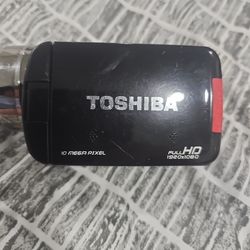 Toshiba  hand held hd camera