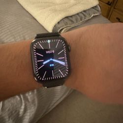 Apple Watch 8 Stainless Steel 