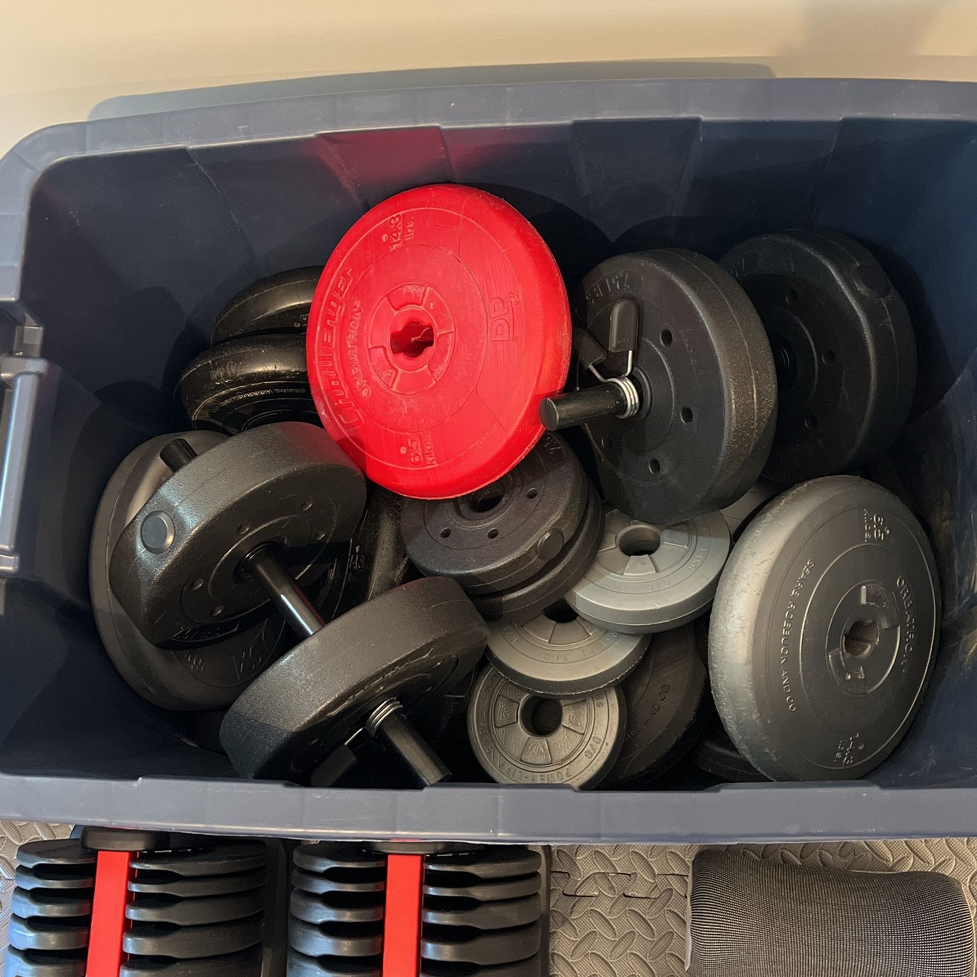 Dumbbells 