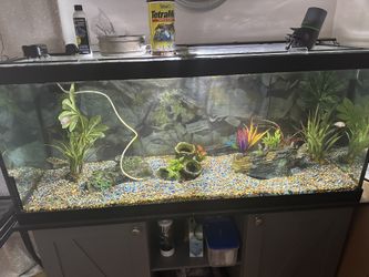 75 Gallon Aquarium