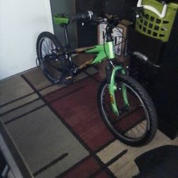 20" Gary Fisher 5spd Mountain Bike Like New $ 50.00