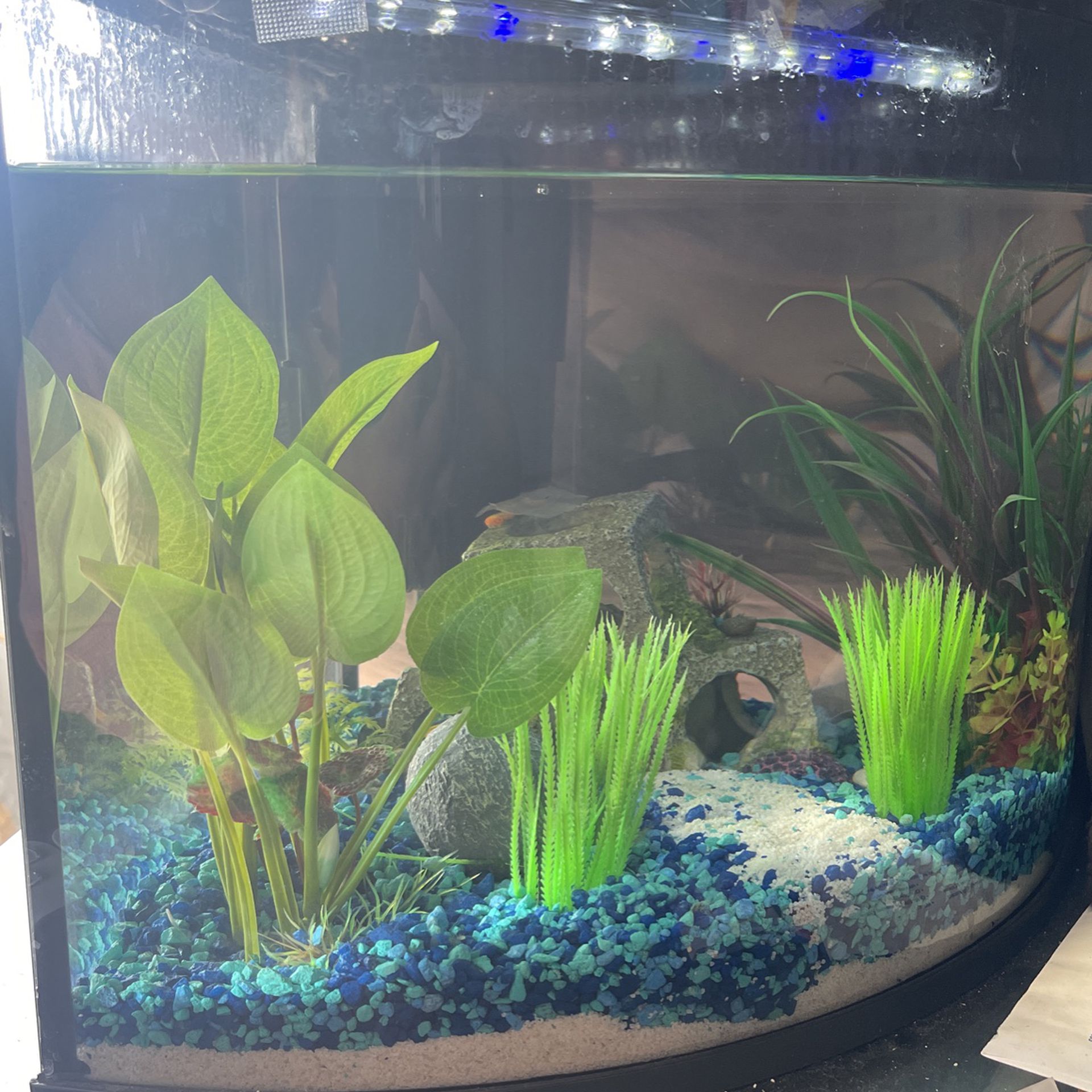 6 Gallon Fish Tank With Fake Planes And Sand 