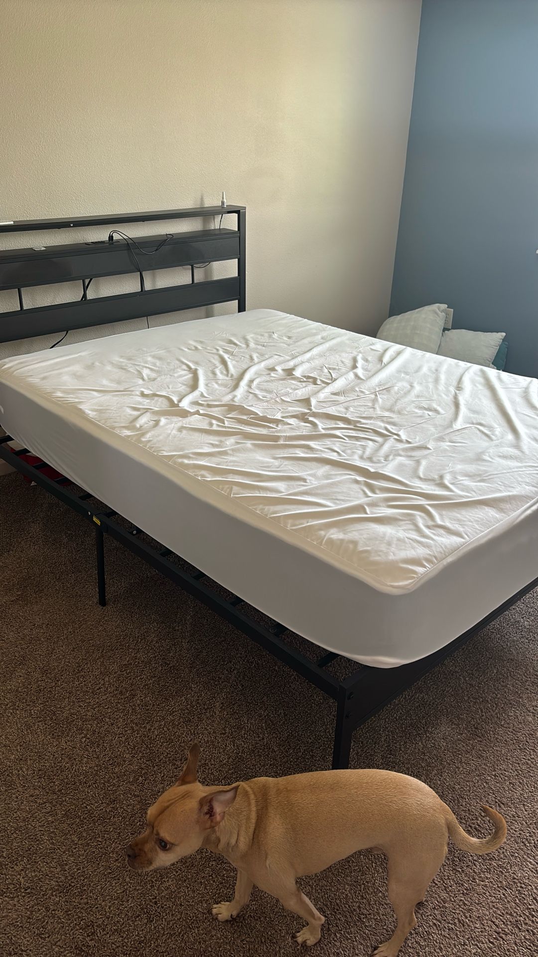 Queen Mattress