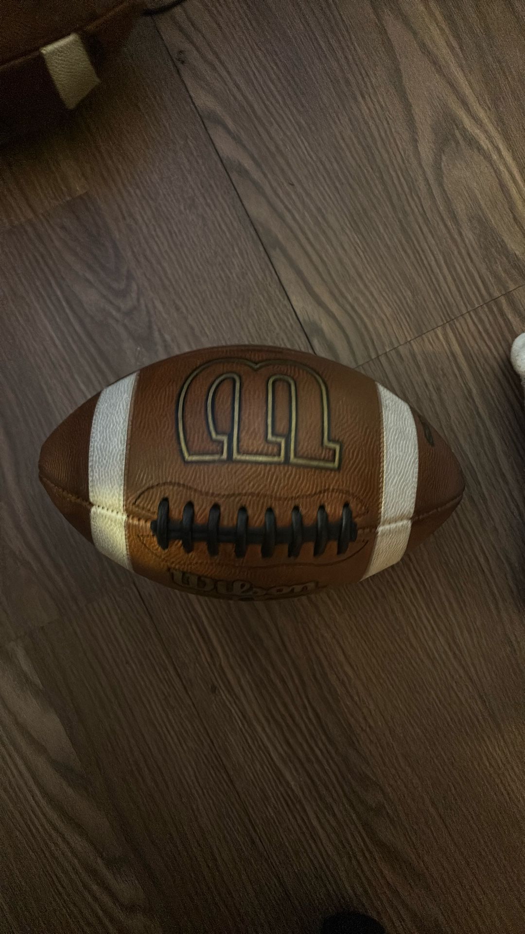 Wilson College Ball Ncaa