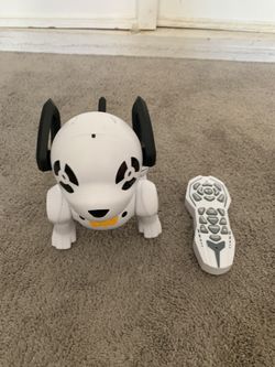 Robot Dog
