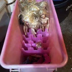 Doll  Carrier Box 
