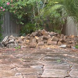 Free firewood Oak